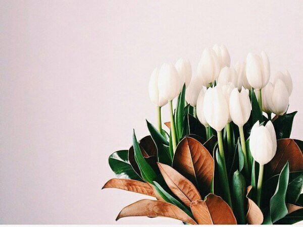 Весенние обои, фото 42 Весенние обои, фото 42