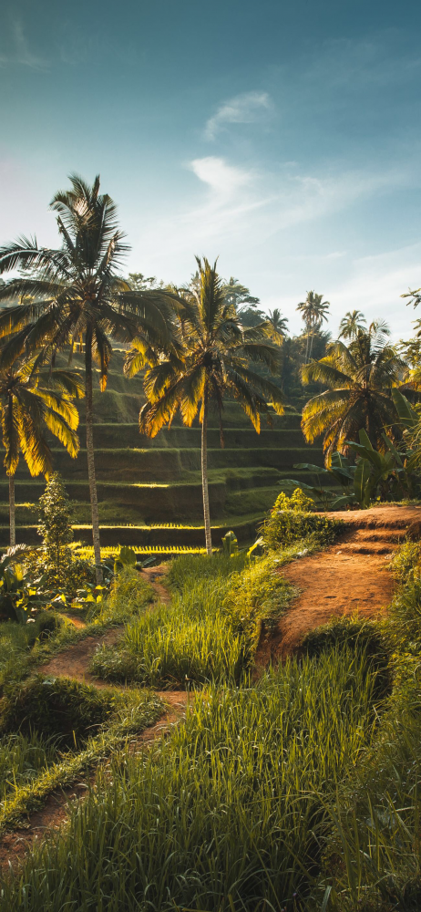 Подборка рандомных обоев для телефона. 13 часть, фото 1