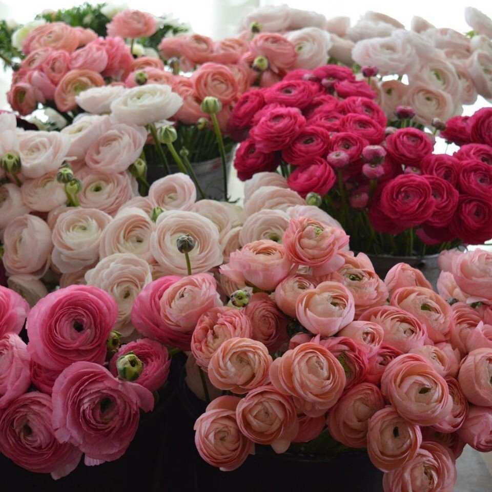 Весенние обои, фото 49 Весенние обои, фото 49