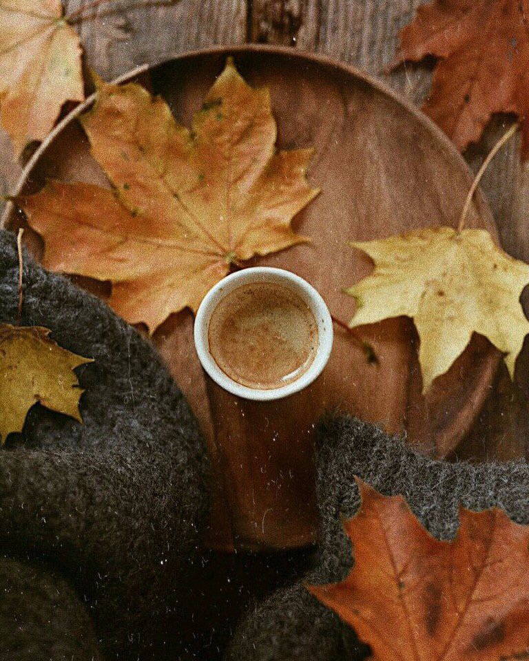 Осенние обои , фото 40 Осенние обои , фото 40