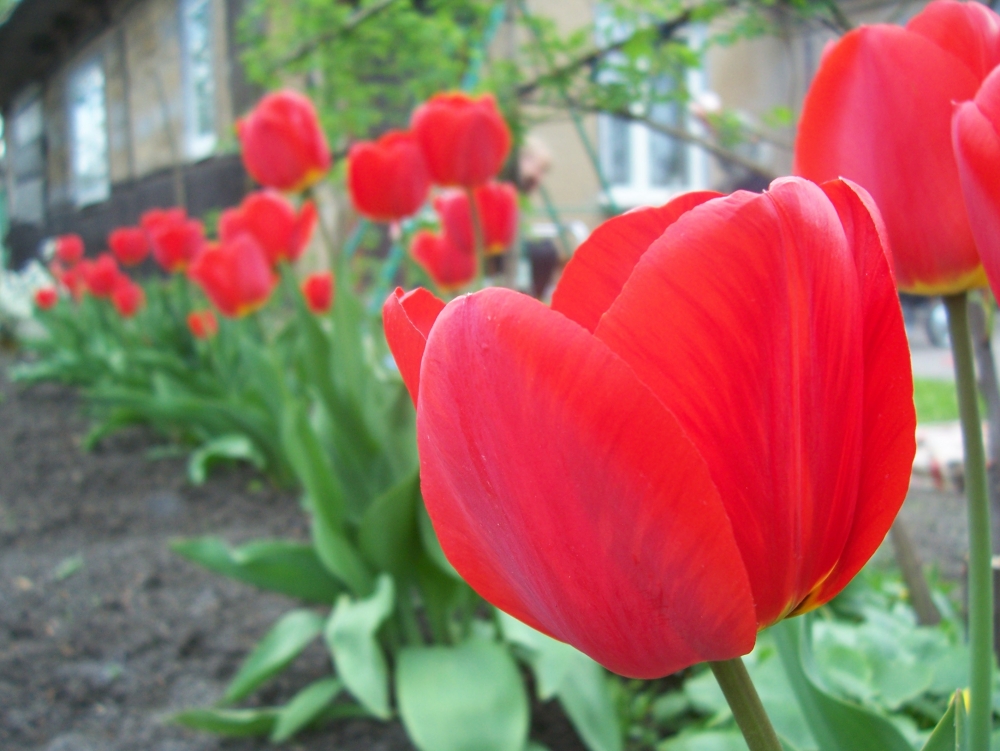 В одном маленьком Городе..., фото 2 В одном маленьком Городе..., фото 2