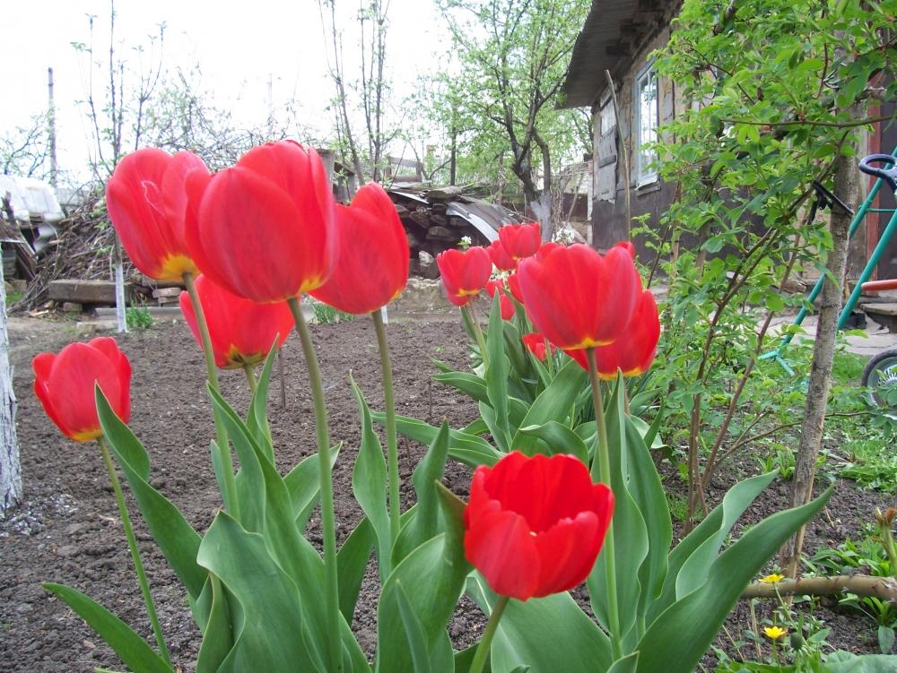 В одном маленьком Городе..., фото 4 В одном маленьком Городе..., фото 4