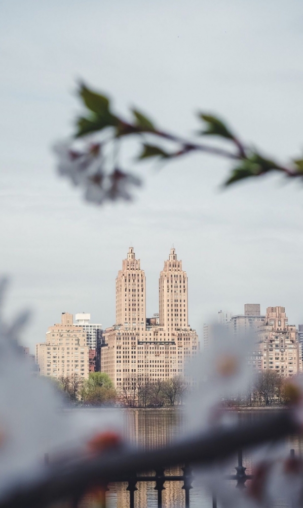 Подборка обоев для iphona 7plus. 10часть( последняя)., фото 35 Подборка обоев для iphona 7plus. 10часть( последняя)., фото 35