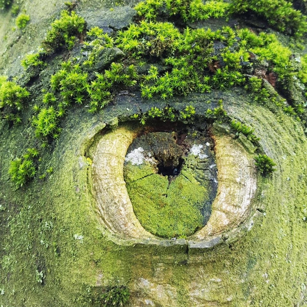 Чудеса природы, фото 9 Чудеса природы, фото 9