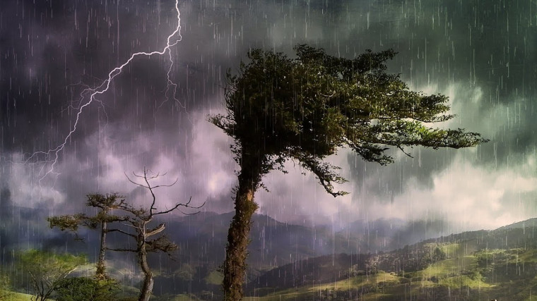 Летняя гроза, фото 9 Летняя гроза, фото 9