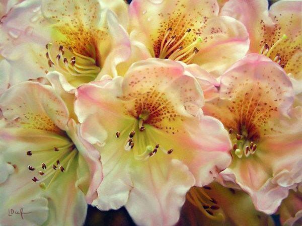 Красота суперреализма в живописи. Лин Дифенбах, фото 9 Красота суперреализма в живописи. Лин Дифенбах, фото 9