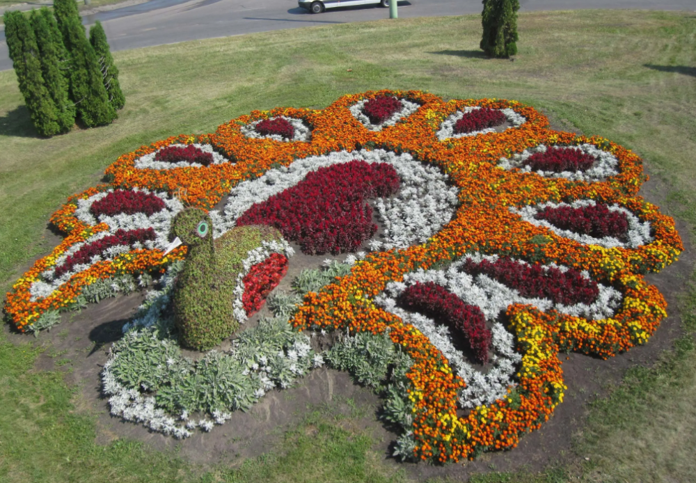 Коллажи из цветов, фото 9 Коллажи из цветов, фото 9