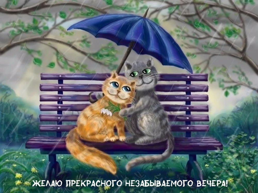 Добрый вечер, фото 9 Добрый вечер, фото 9