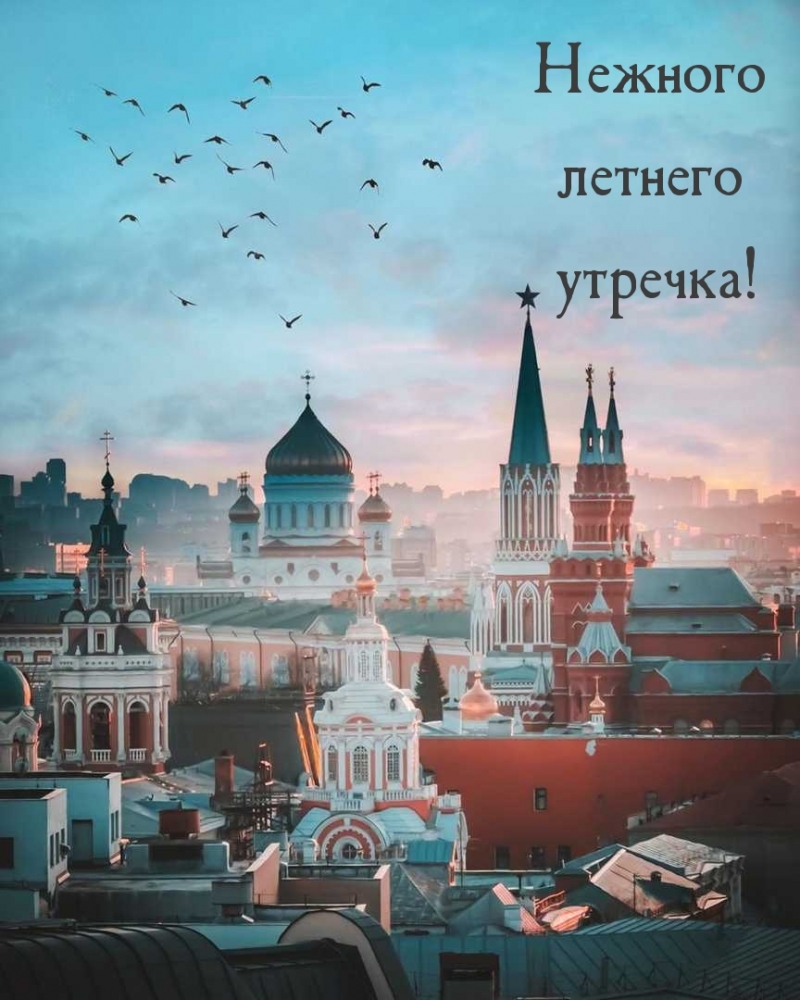 Открытки по теме Доброе летнее утро, фото 19 Открытки по теме Доброе летнее утро, фото 19