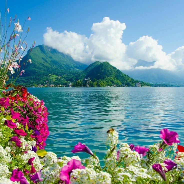 Лето, лето, васильки в букетах), фото 10