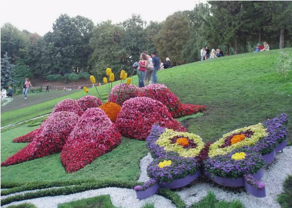 Коллажи из цветов, фото 10 Коллажи из цветов, фото 10