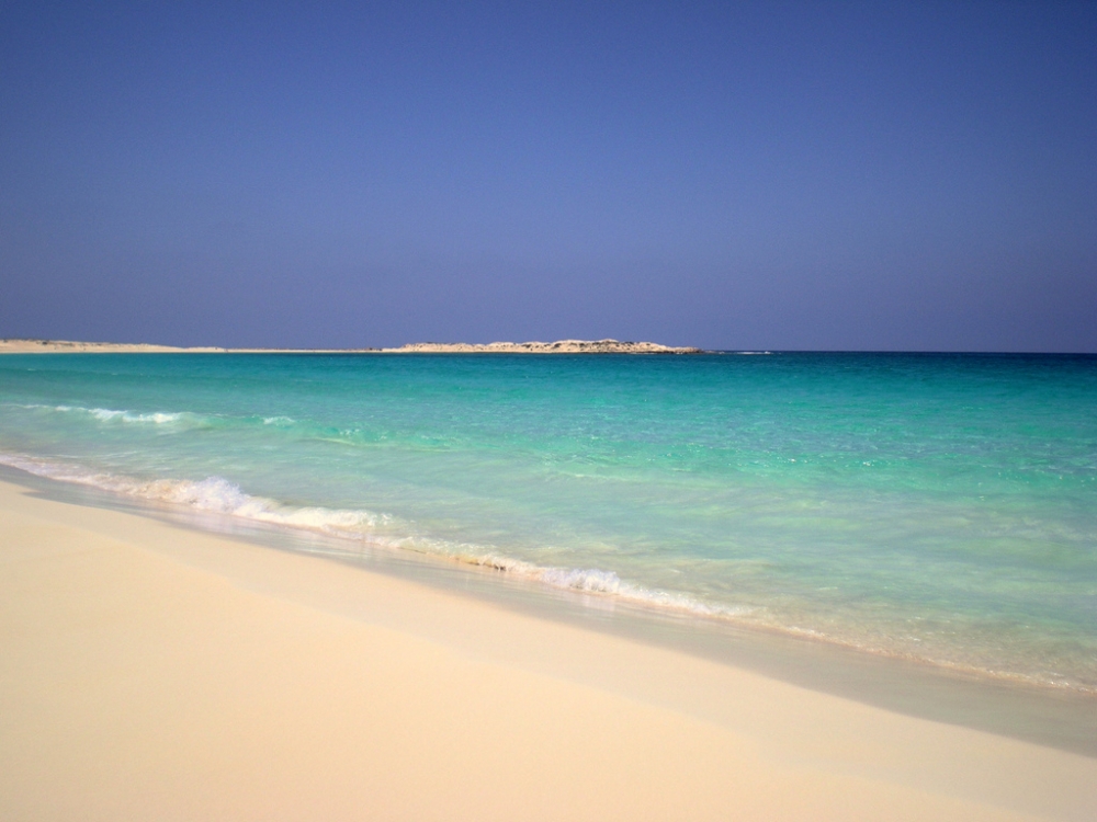 Удивительный мир Красного моря, фото 11