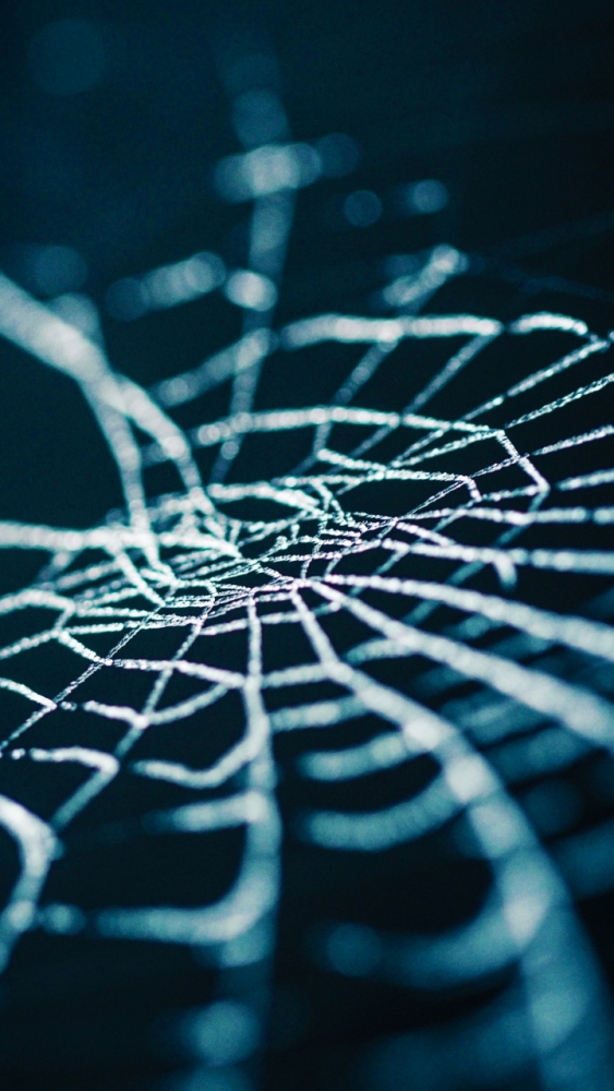 Макро обои для смартфона, фото 11 Макро обои для смартфона, фото 11