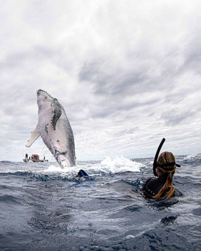 Просто веселые и милые картинки с животными, фото 9