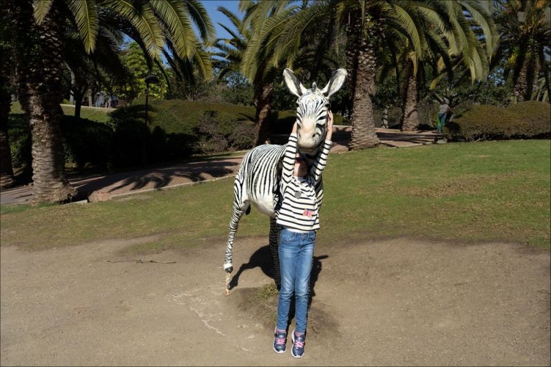 Просто веселые и милые картинки с животными, фото 15