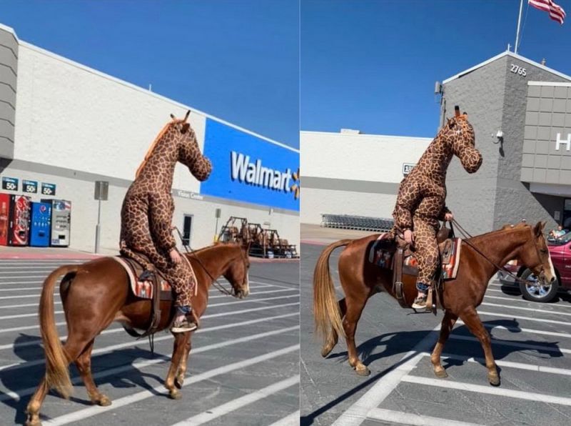 Просто веселые и милые картинки с животными, фото 16