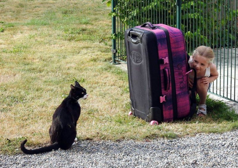 Просто веселые и милые картинки с животными, фото 2