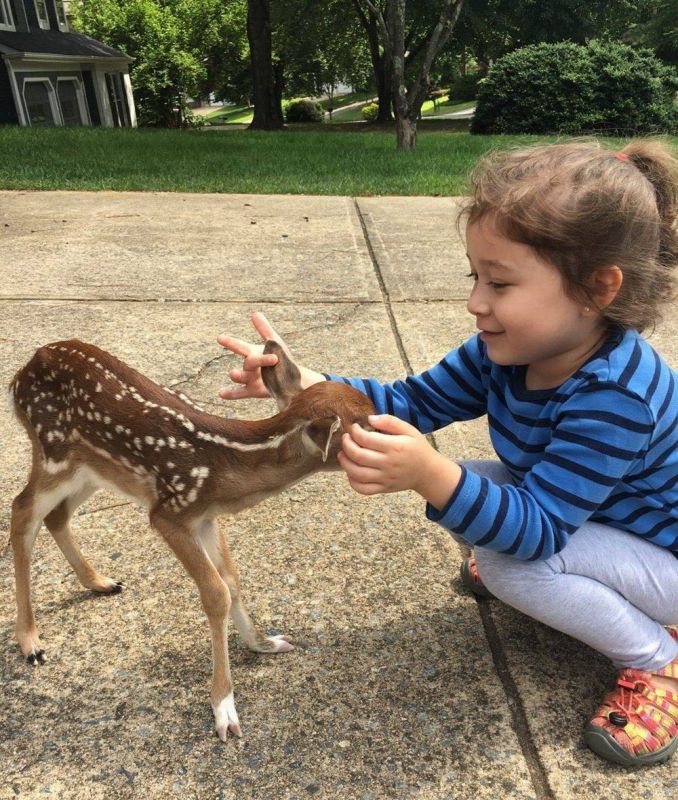 Просто веселые и милые картинки с животными, фото 4