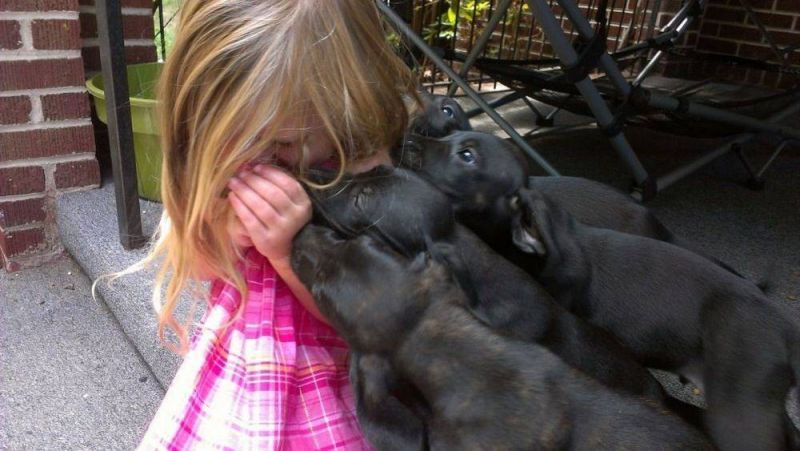 Просто веселые и милые картинки с животными, фото 5