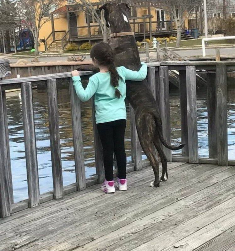 Просто веселые и милые картинки с животными, фото 6