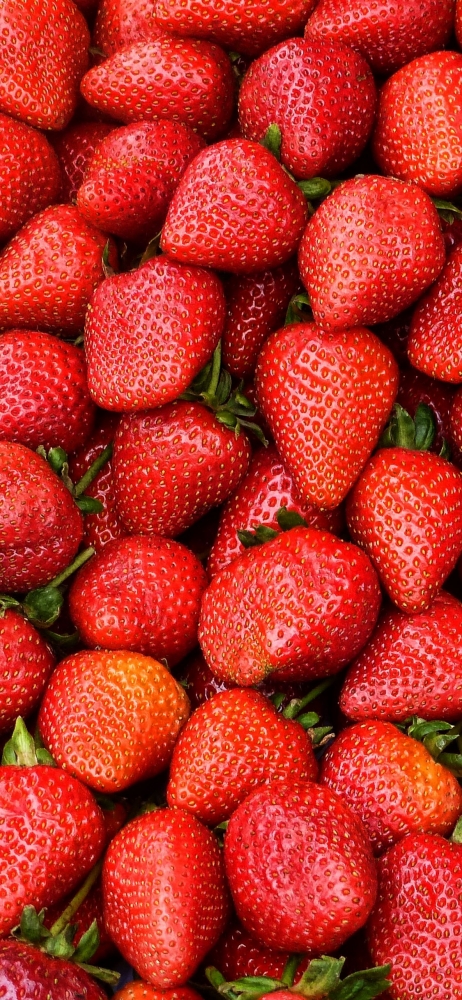 Обои и заставки на тему Вкус лета, фото 20 Обои и заставки на тему Вкус лета, фото 20