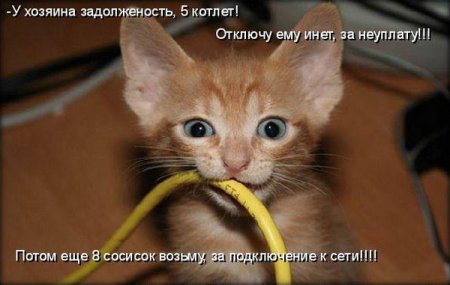 Животные очаровывают, фото 13 Животные очаровывают, фото 13