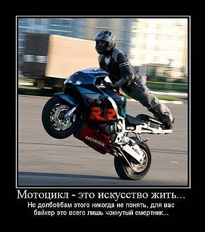 Весёлые авто курьёзы про машины и мотоциклы, фото 13 Весёлые авто курьёзы про машины и мотоциклы, фото 13