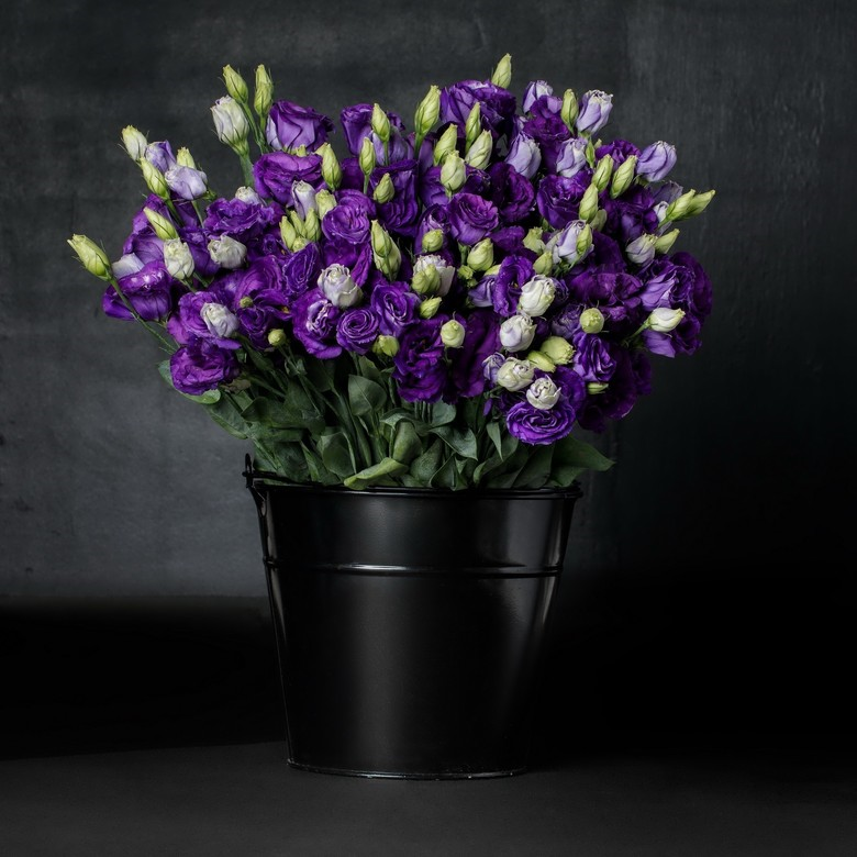 Красавица эустома, фото 11