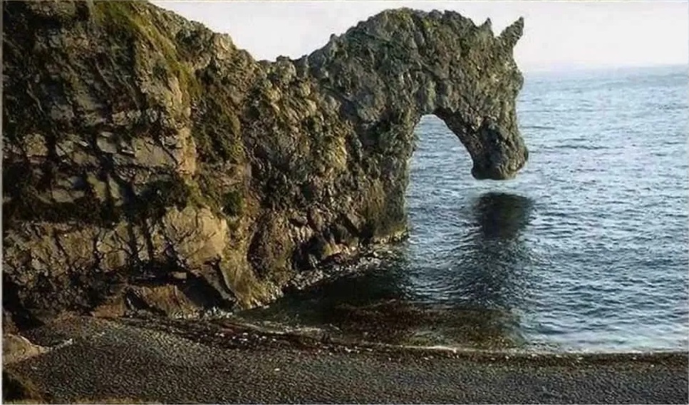 Чудеса природы, фото 11 Чудеса природы, фото 11