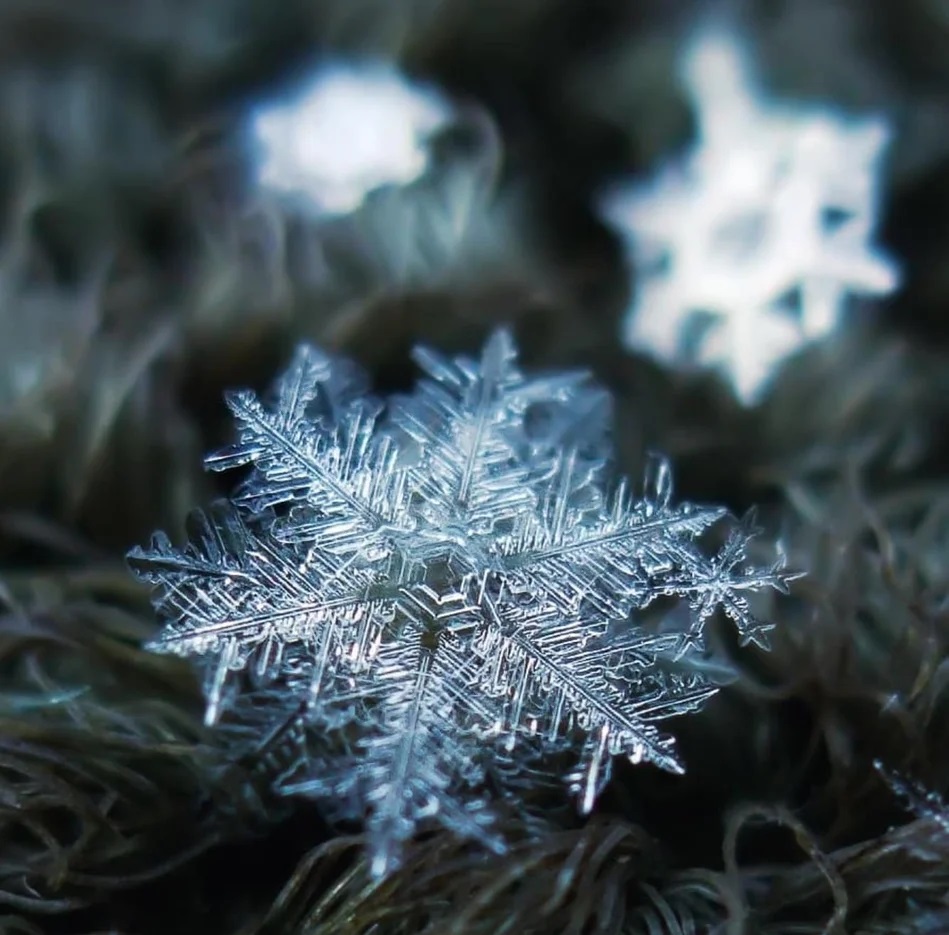 Снежинки - чудо природы, фото 11 Снежинки - чудо природы, фото 11