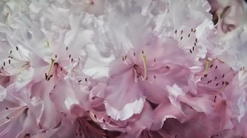 Красота суперреализма в живописи. Лин Дифенбах, фото 11 Красота суперреализма в живописи. Лин Дифенбах, фото 11