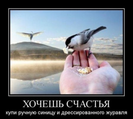 Животные очаровывают, фото 18 Животные очаровывают, фото 18