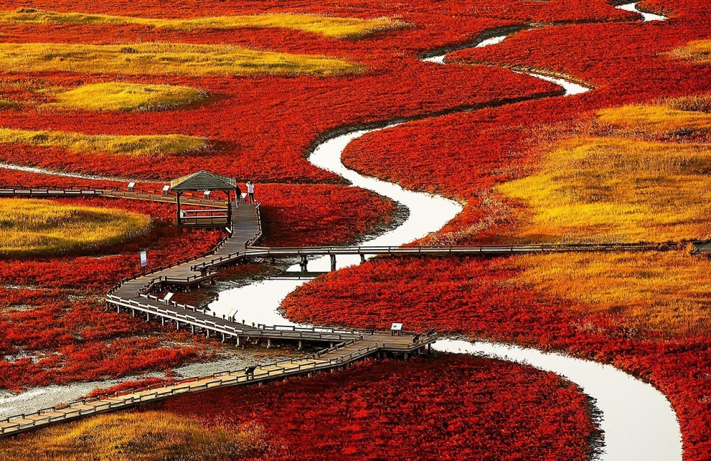 Невероятные ландшафты нашей планеты., фото 12 Невероятные ландшафты нашей планеты., фото 12