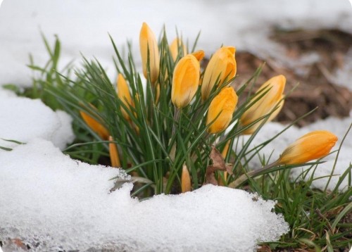 Подобранные мною пейзажи по теме Времена года, фото 9 Подобранные мною пейзажи по теме Времена года, фото 9