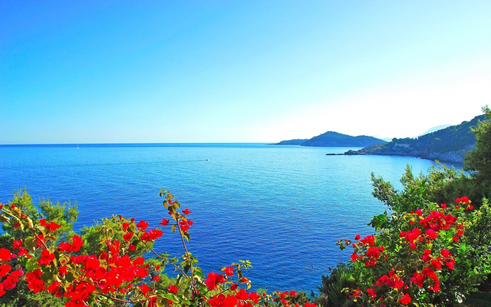 Лето, лето, васильки в букетах), фото 12