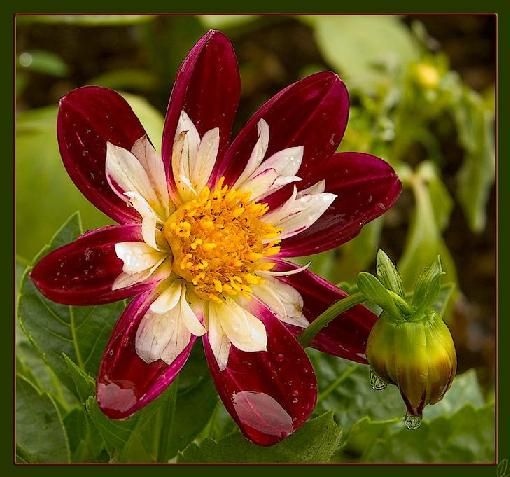 Красивые картины Андрея Никулина, фото 11 Красивые картины Андрея Никулина, фото 11