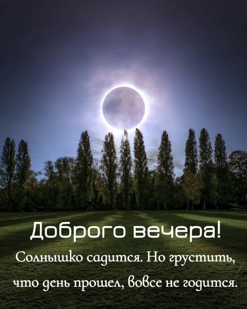 Добрый вечер, фото 12 Добрый вечер, фото 12