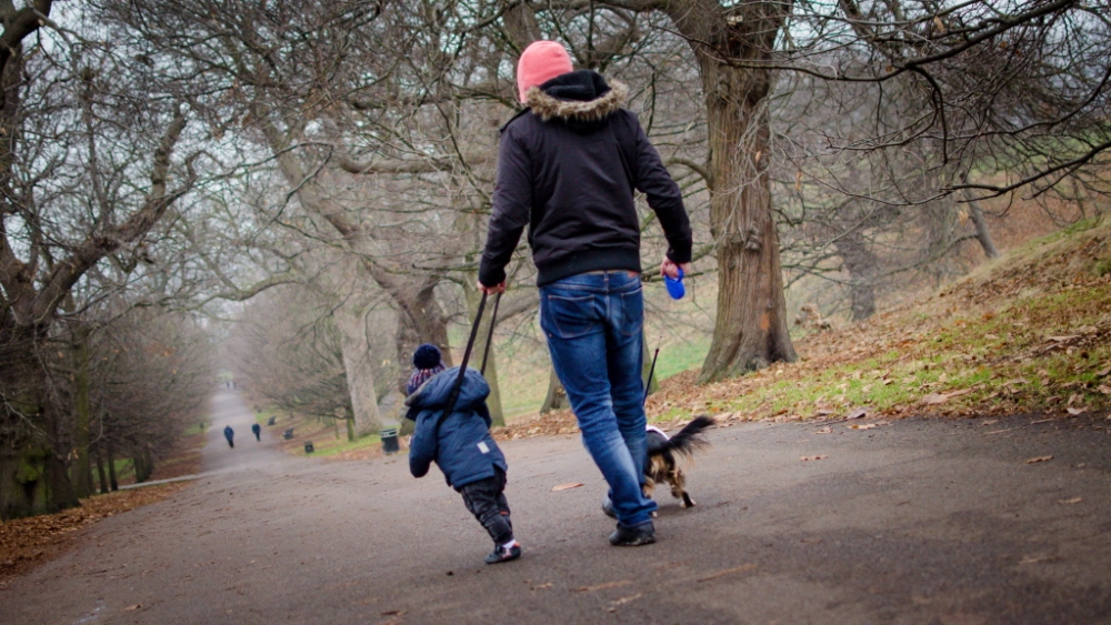 День выгуливания настроения, фото 13 День выгуливания настроения, фото 13