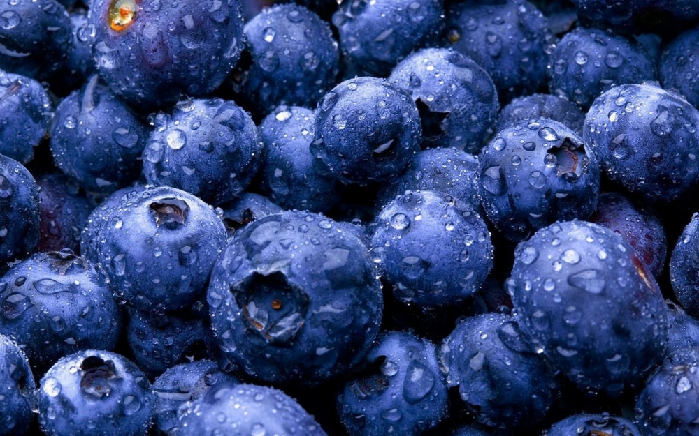 Обои и заставки на тему Вкус лета, фото 19 Обои и заставки на тему Вкус лета, фото 19