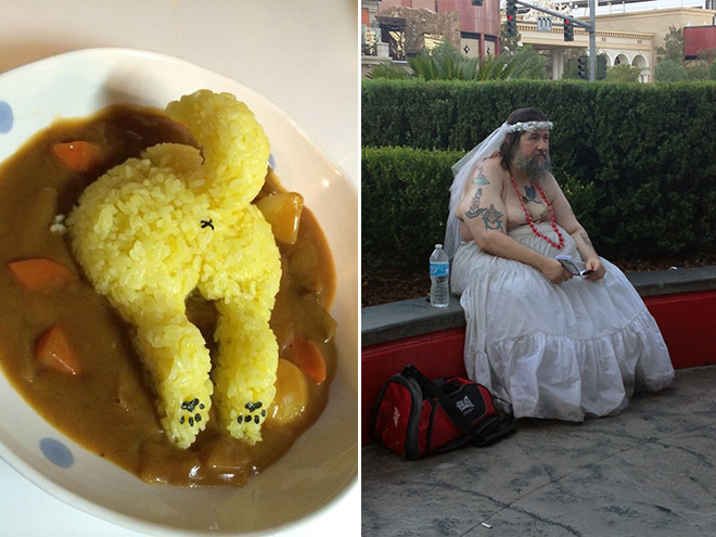 Подборка смешных картинок, с нелепыми ситуациями, фото 2 Подборка смешных картинок, с нелепыми ситуациями, фото 2