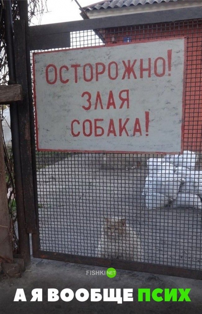 Смешные, интересные и веселые надписи, фото 2