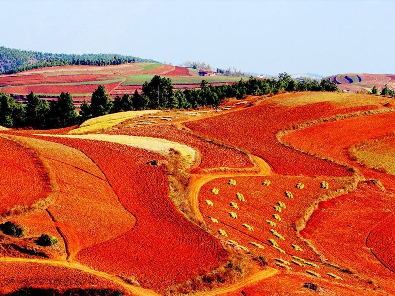 Невероятные ландшафты нашей планеты., фото 13 Невероятные ландшафты нашей планеты., фото 13