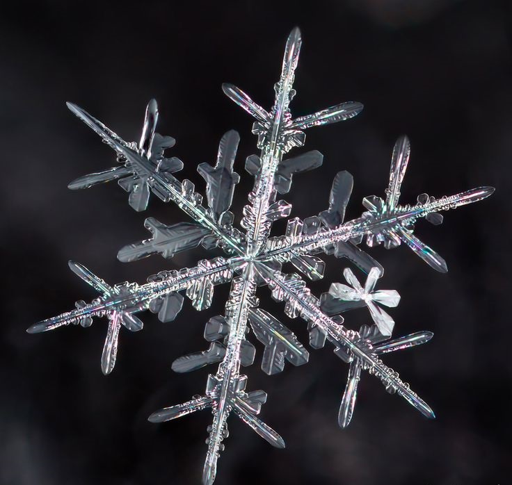 Снежинки - чудо природы, фото 13 Снежинки - чудо природы, фото 13