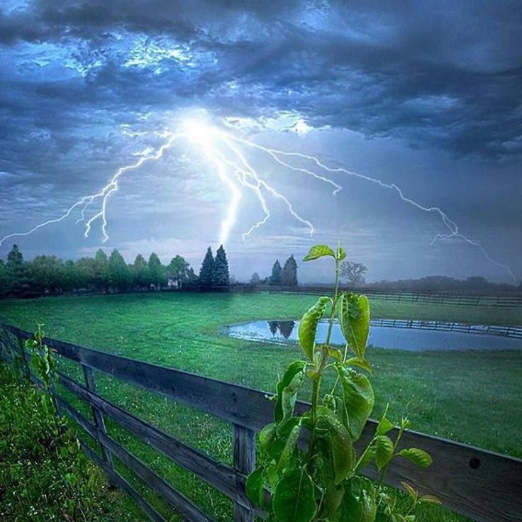 Летняя гроза, фото 13 Летняя гроза, фото 13