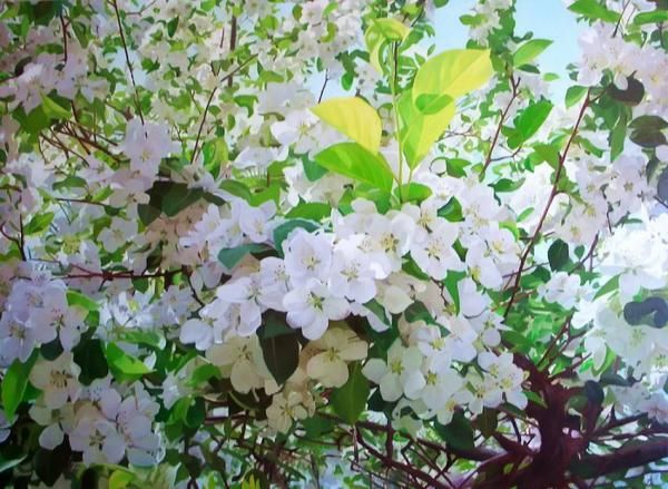 Красивые картины Андрея Никулина, фото 12 Красивые картины Андрея Никулина, фото 12