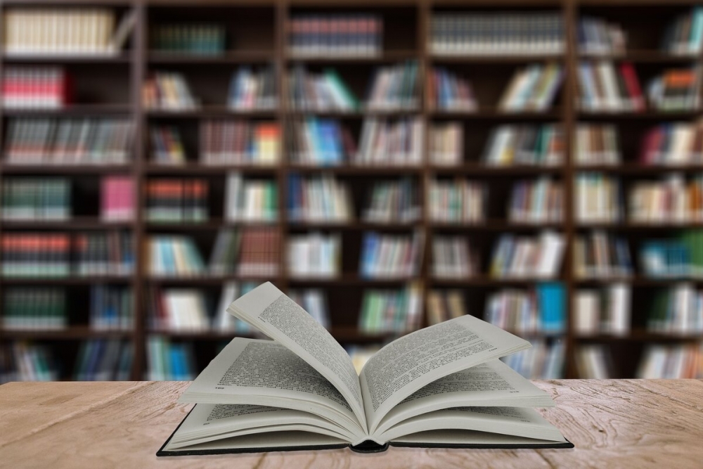 Всемирный день книги и авторского права, фото 13 Всемирный день книги и авторского права, фото 13