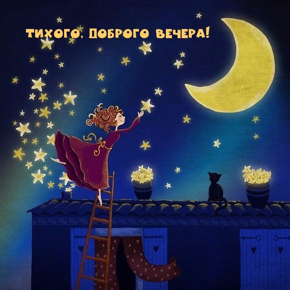 Добрый вечер, фото 13 Добрый вечер, фото 13