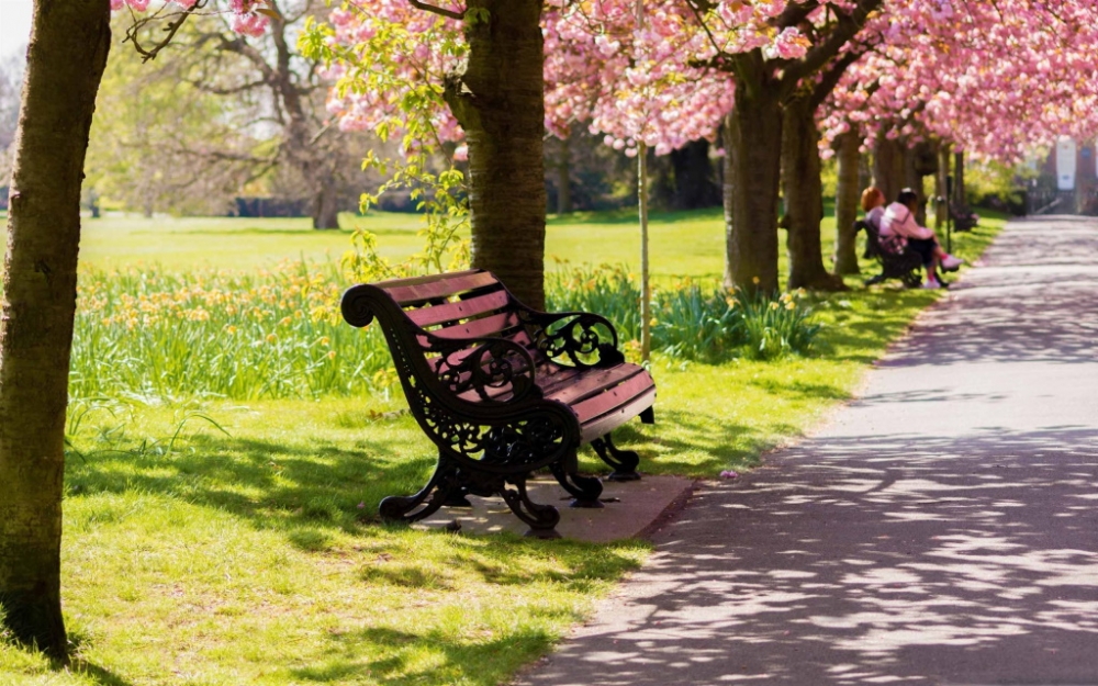 День выгуливания настроения, фото 14 День выгуливания настроения, фото 14