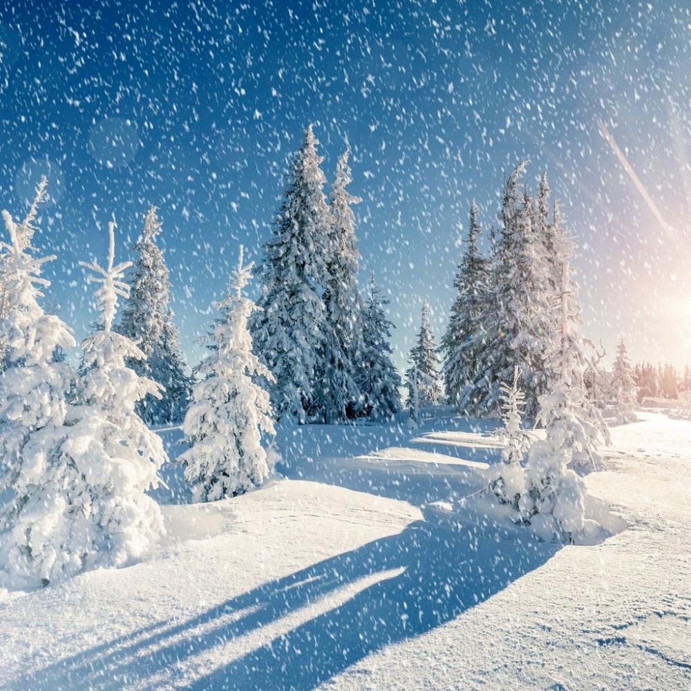 Мороз и солнце - день чудесный!, фото 7 Мороз и солнце - день чудесный!, фото 7