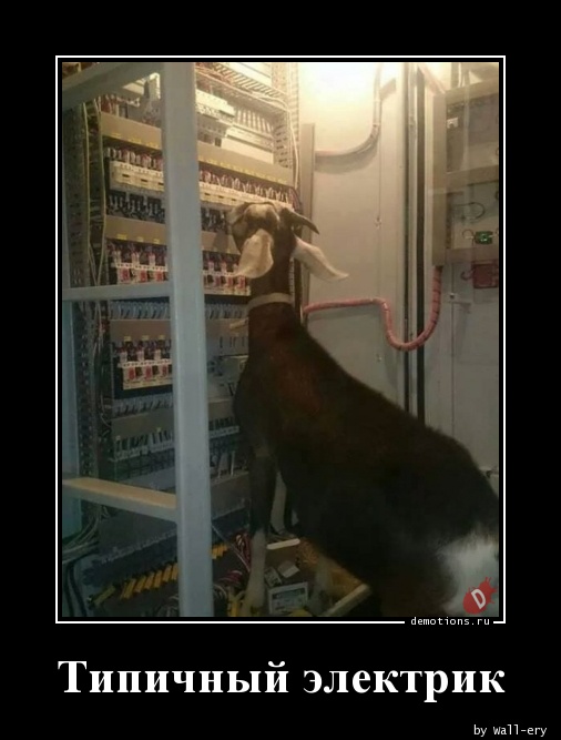 Электрики опасная работа, фото 11 Электрики опасная работа, фото 11